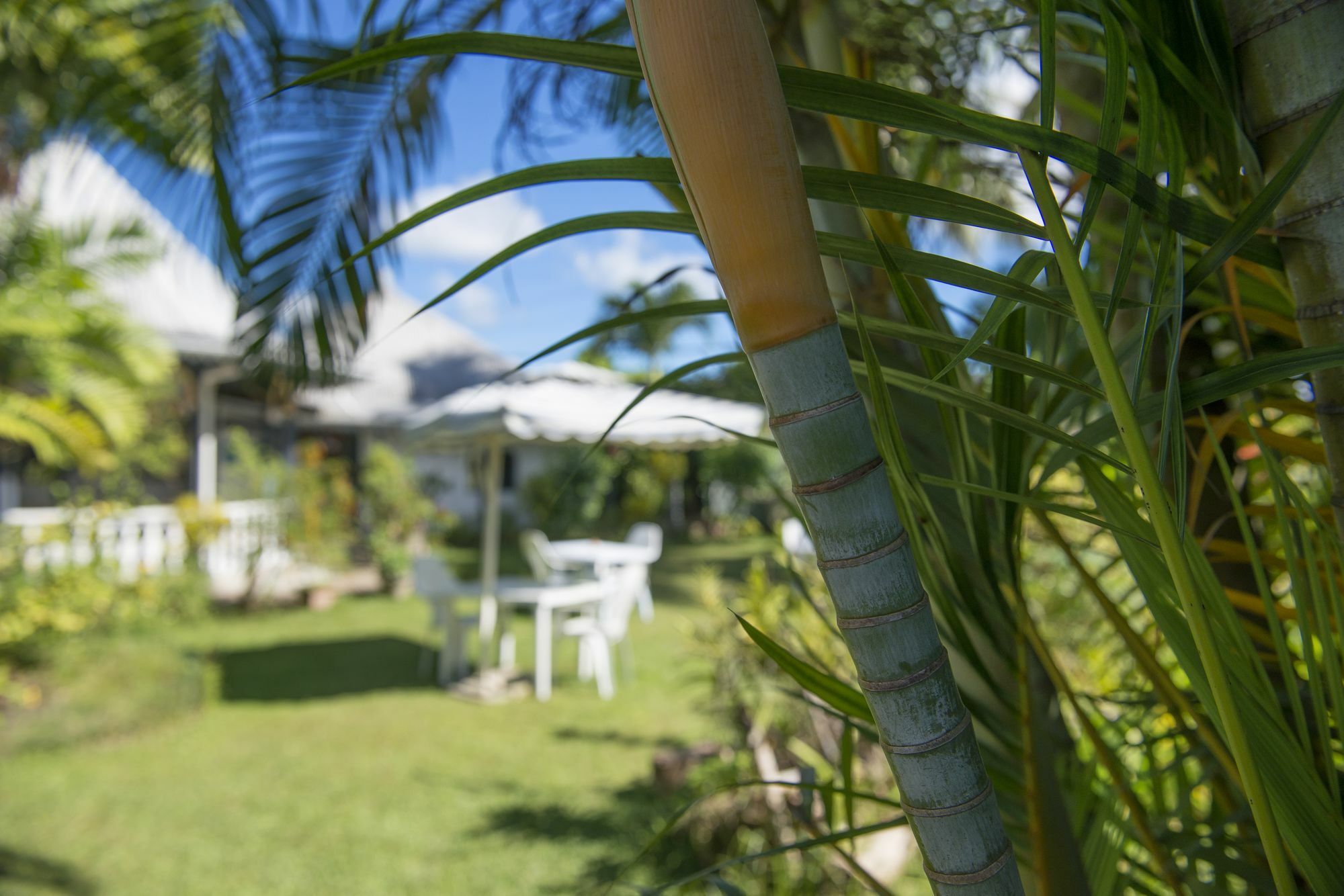 D'anse Boileau & Restaurant Chez Plume 4*